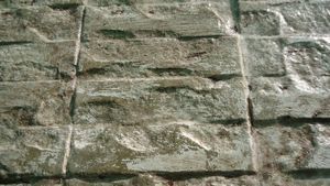 DSC00655a.jpg